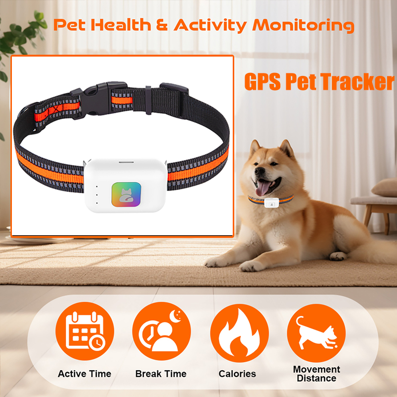 Pet Supplies Direct - Perangkat Pelacak GPS Hewan Peliharaan AGPS