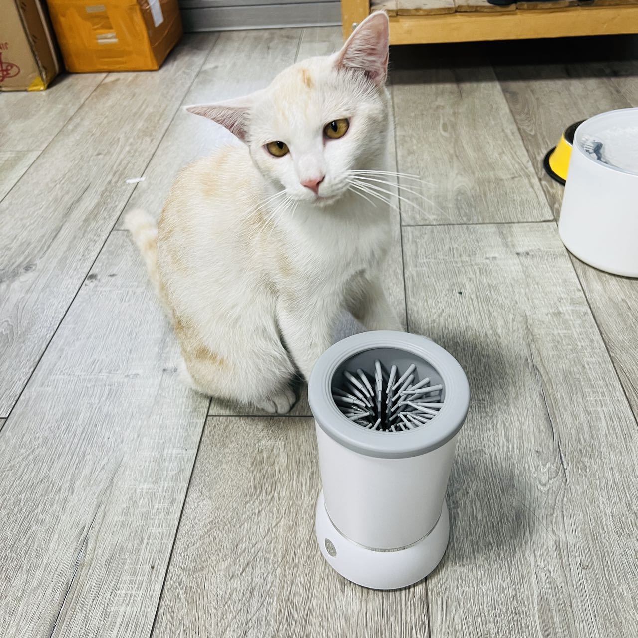 Dog Paw Cleaner - Alat Pembersih Cakar Hewan Peliharaan Otomatis,