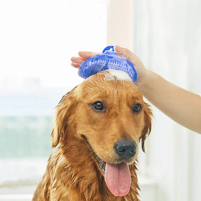 Sikat Mandi Hewan Peliharaan S - Pet Supplies Grooming ulasan dan harga