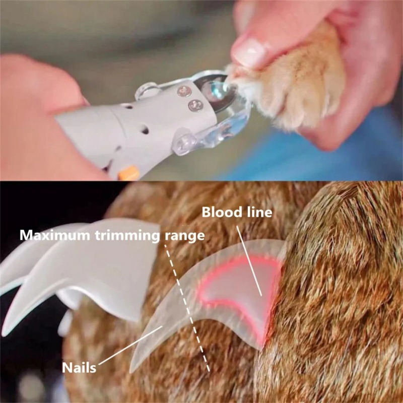1 Buah Pemotong Kuku Hewan Pel - Pet Supplies Grooming ulasan dan harga