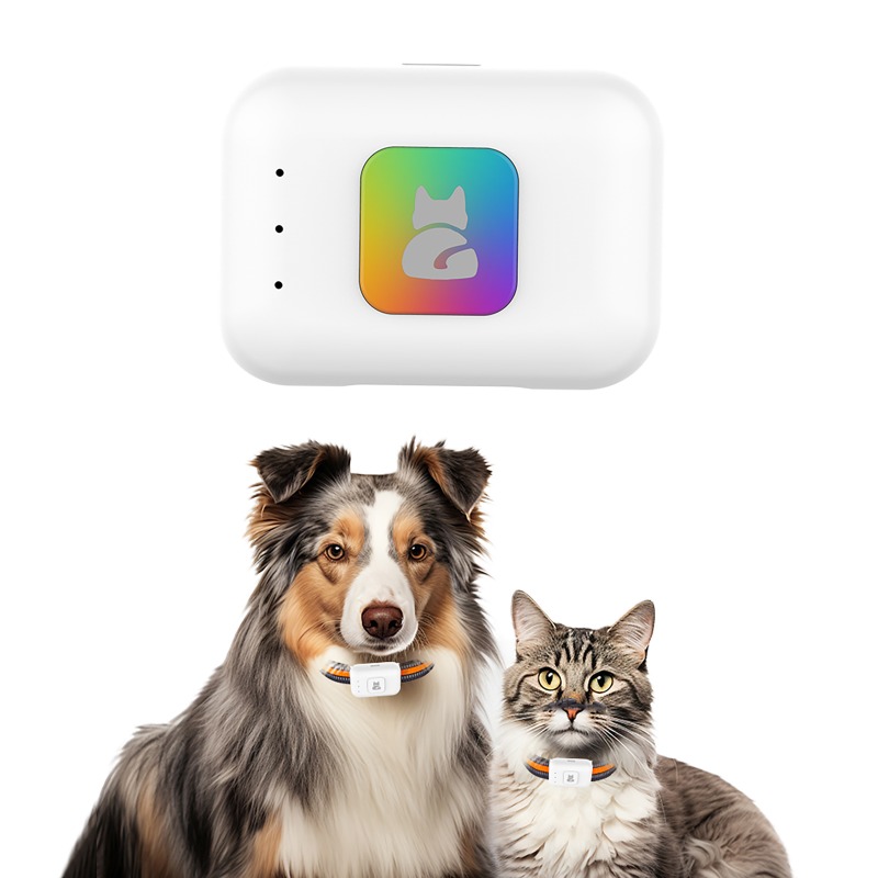Perangkat Pelacak GPS Hewan Pe - Pet Supplies Direct ulasan dan harga