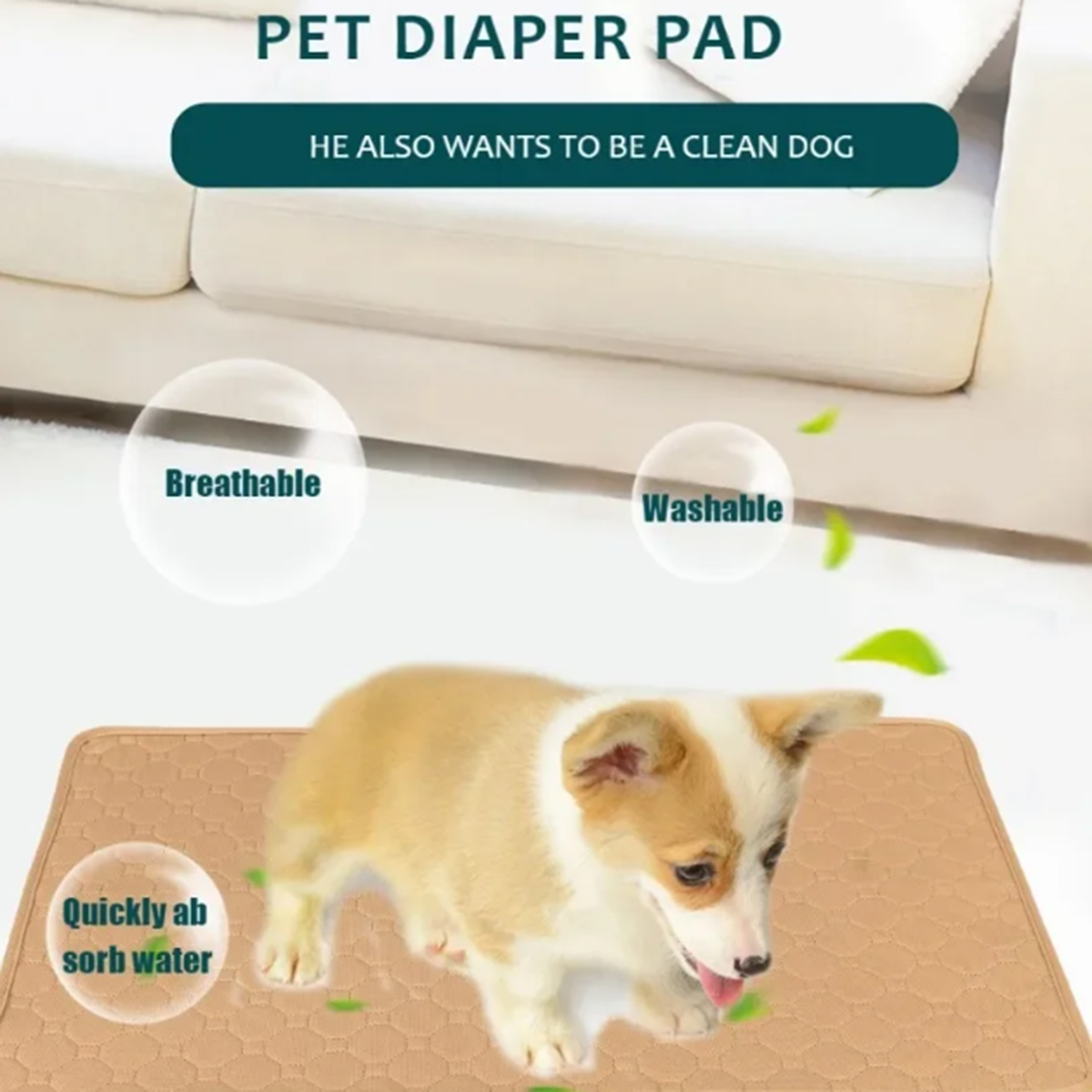 Alas Pipis Anjing Dapat Diguna - Pet Supplies Dog Wash ulasan dan harga