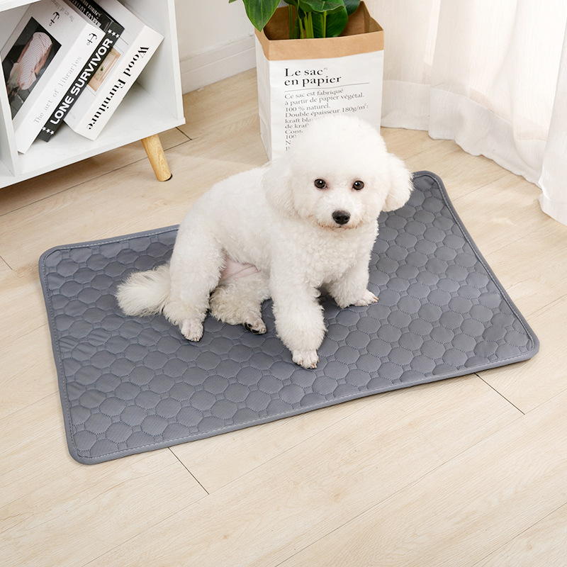 Alas Pipis Anjing yang Dapat D - Pet Supplies Dog Wash ulasan dan harga
