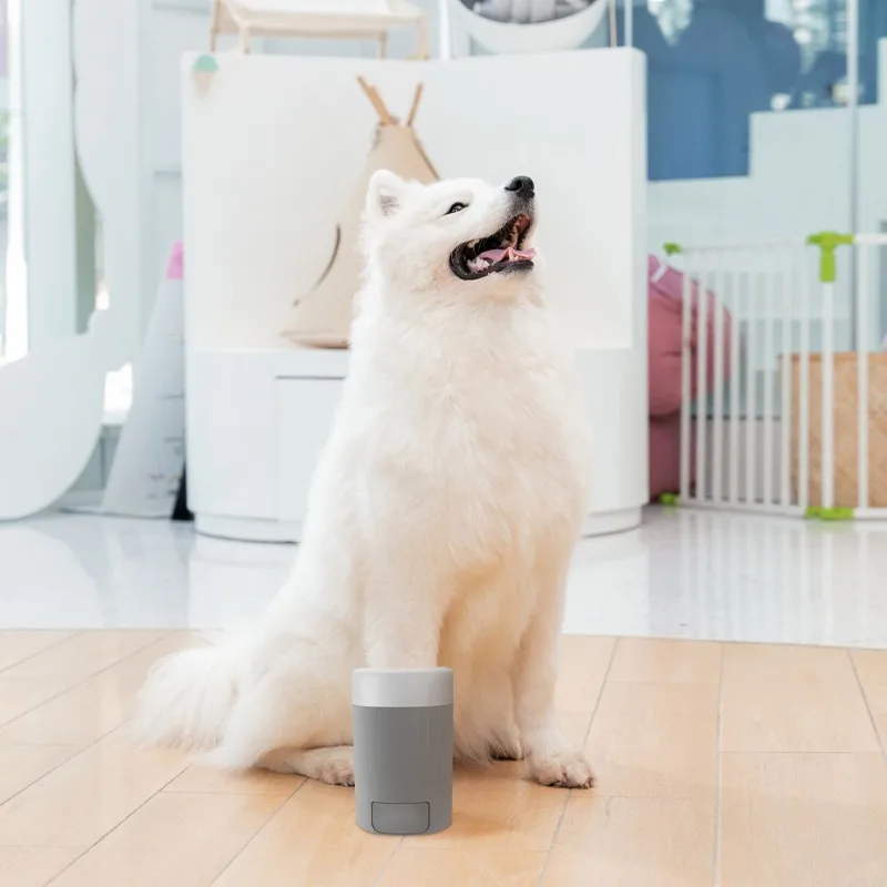 Cangkir Pembersih Kaki Hewan P - Dog Paw Cleaner ulasan dan harga