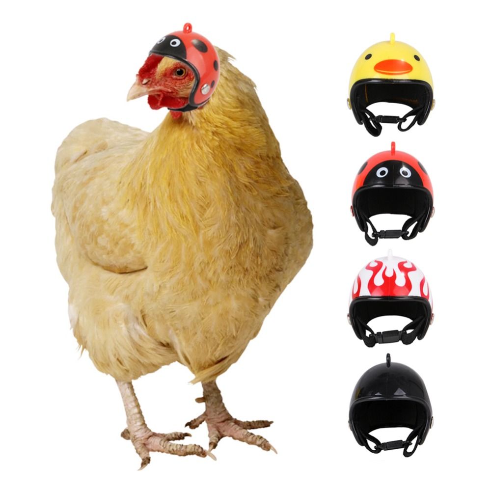 Perlengkapan Hewan Peliharaan  - Pet X Supplies & Tack Reviews ulasan dan harga