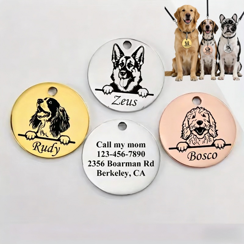 Kalung Anti-Hilang untuk Anjin - Pet Supplies Direct ulasan dan harga