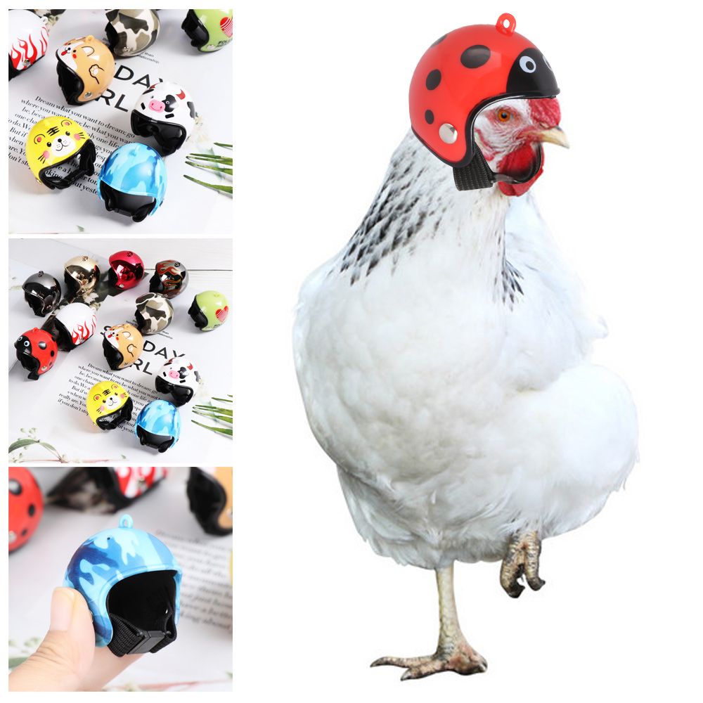 Perlengkapan Hewan Peliharaan  - Pet X Supplies & Tack Reviews ulasan dan harga